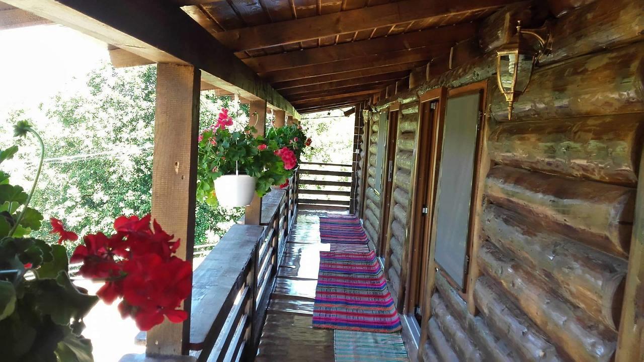 Floare De Maramures 2 Sighetu Marmaţiei Exteriér fotografie